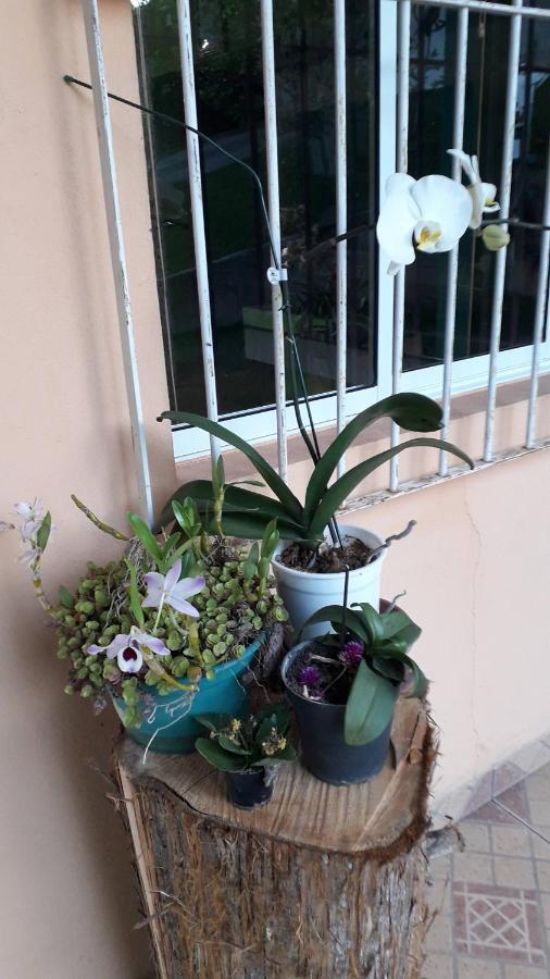 Chacara De Temporada - Mairipora Villa ภายนอก รูปภาพ